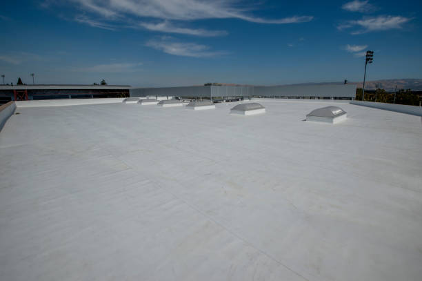 Best Chimney Flashing Repair  in Kaloko, HI